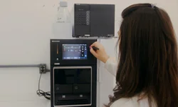 Mundial Braford terá julgamentos e palestras no Parque Assis Brasil