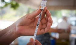 Romaria da Conquistadora acontece no domingo