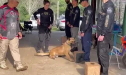 Estudo aponta Bagé como segunda cidade mais segura do Estado