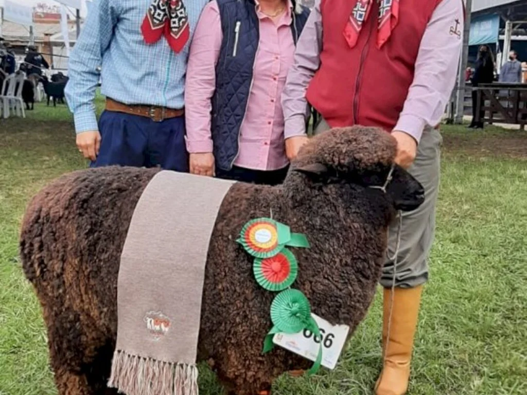 Uma das primeiras campeãs da Expointer é de Bagé
