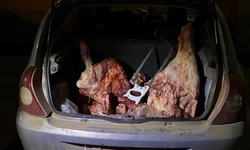 Delegado e advogado falam sobre descriminalização