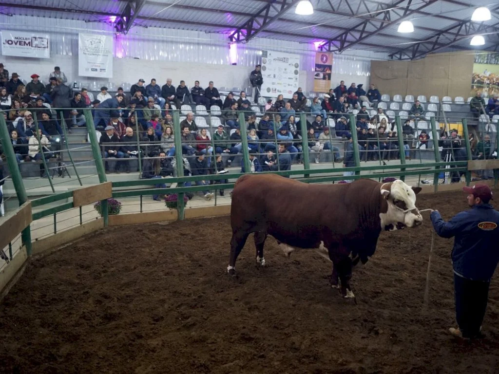 Exposição Nacional em Bagé terá três remates