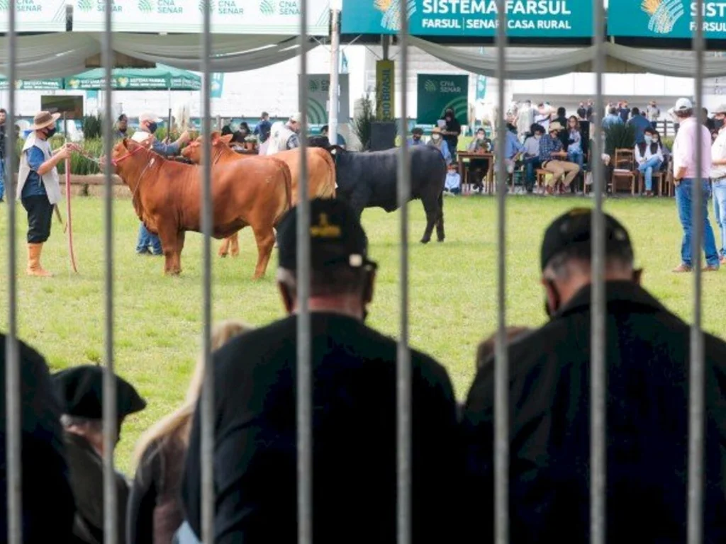 Lideranças avaliam com otimismo a 44ª Expointer