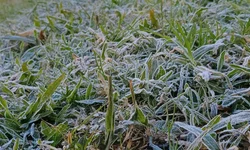 Mario Garcia mantém viva a tradição dos quadrinhos
