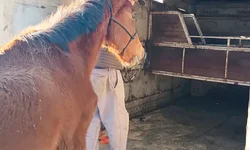 Complexo de Assistência Social será construído no Vinte e um