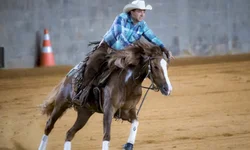 Égua de Aceguá é campeão do Bocal de Ouro