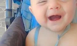 Pânico é estreia desta semana no Cine 7