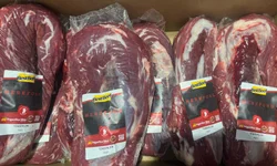 Conselho Rural discute controle de carrapato e incentivos para produtores