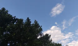 Distrito de Palmas reivindica escola e frigorífico