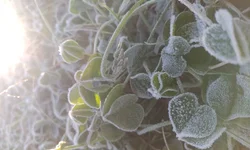 Senac Bagé recebe Selo de Qualidade do COFEN