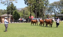Inflação oficial do país em 2024 é de 4,83%, acima do limite da meta