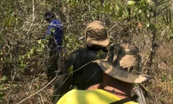 Expopampa será vitrine das potencialidades da região