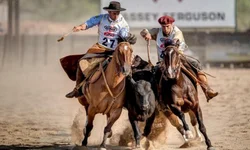 Campereada Team Penning consagra cinco trios