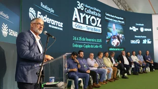 Orizicultura gaúcha cobra crédito, seguro e equidade