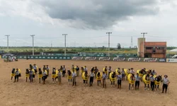 Morfologia do Cavalo Crioulo abre a temporada de finais