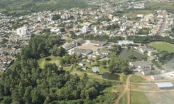 Cooperativismo agropecuário deve apresentar alta no faturamento