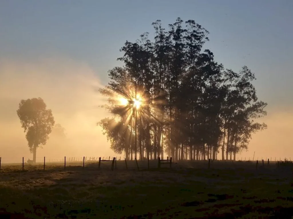 PIB do Rio Grande do Sul tem queda de 3,8%