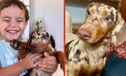 Cinema tem estreia do filme Dune