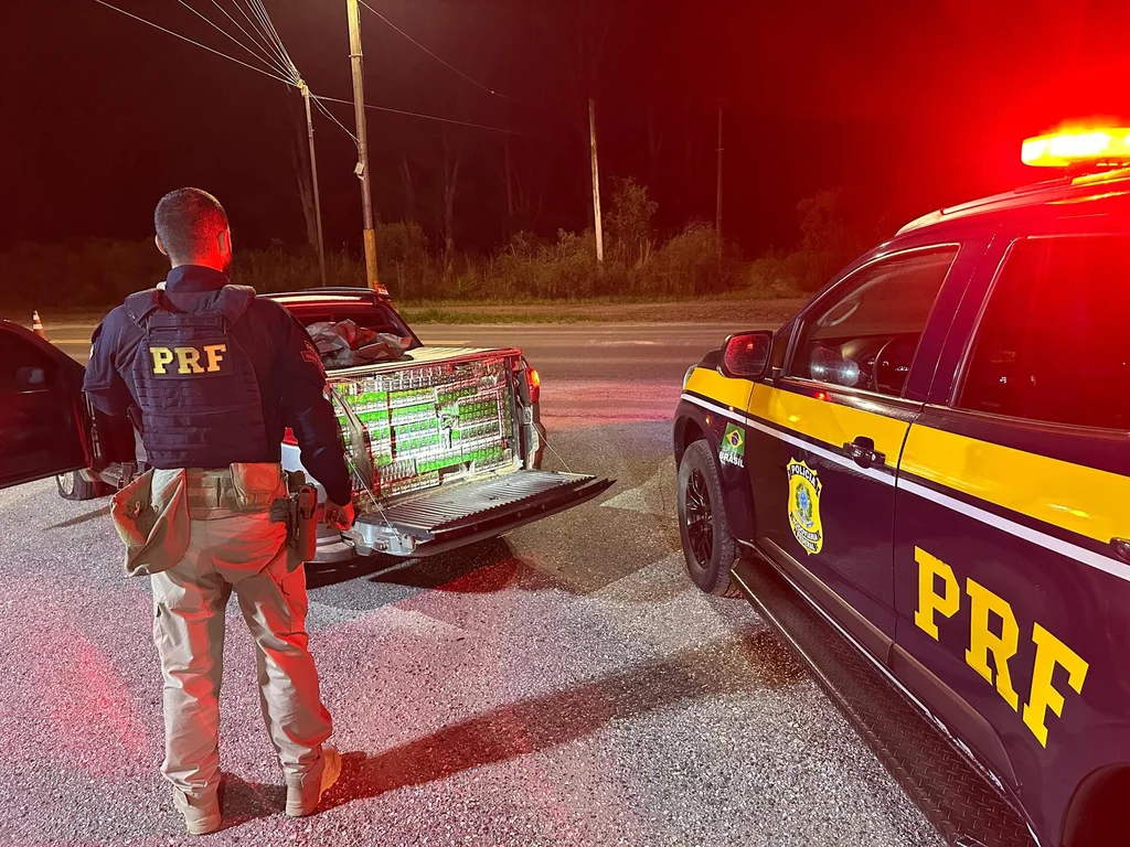 PRF apreende 15 mil maços de cigarros contrabandeados