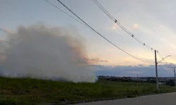 Júlio Jardim retorna ao Legislativo