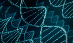 Traficante é preso na Vila Miséria