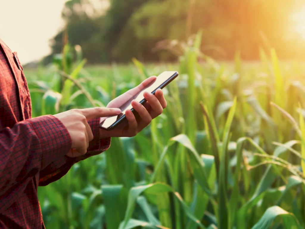 Cadastro de Imóvel Rural está disponível