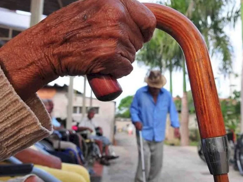 Penas para crimes e maus-tratos podem aumentar