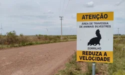 Altas temperaturas impactam venda de bebidas e alimentos