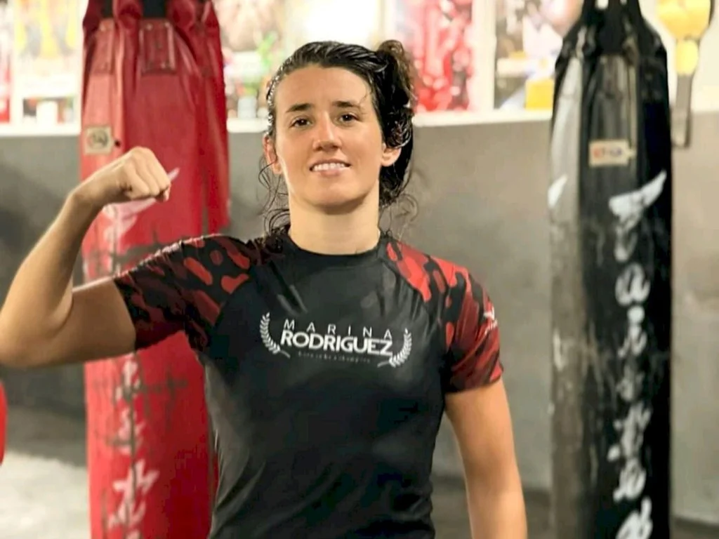 Quilômetro 151 da BR-293 terá interrupção total a partir do meio-dia