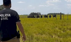 Polícia Civil e BM deflagram operação Voicheve