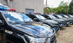 Homem é preso com pé de maconha e arma