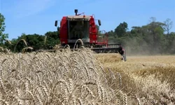 Gedeão Pereira manifesta preocupação com a seca nas lavouras