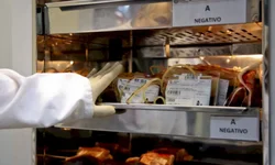 Asilo promove brechó na próxima semana