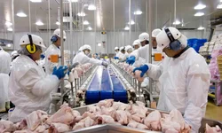 PIB do RS atinge maior nível da série histórica