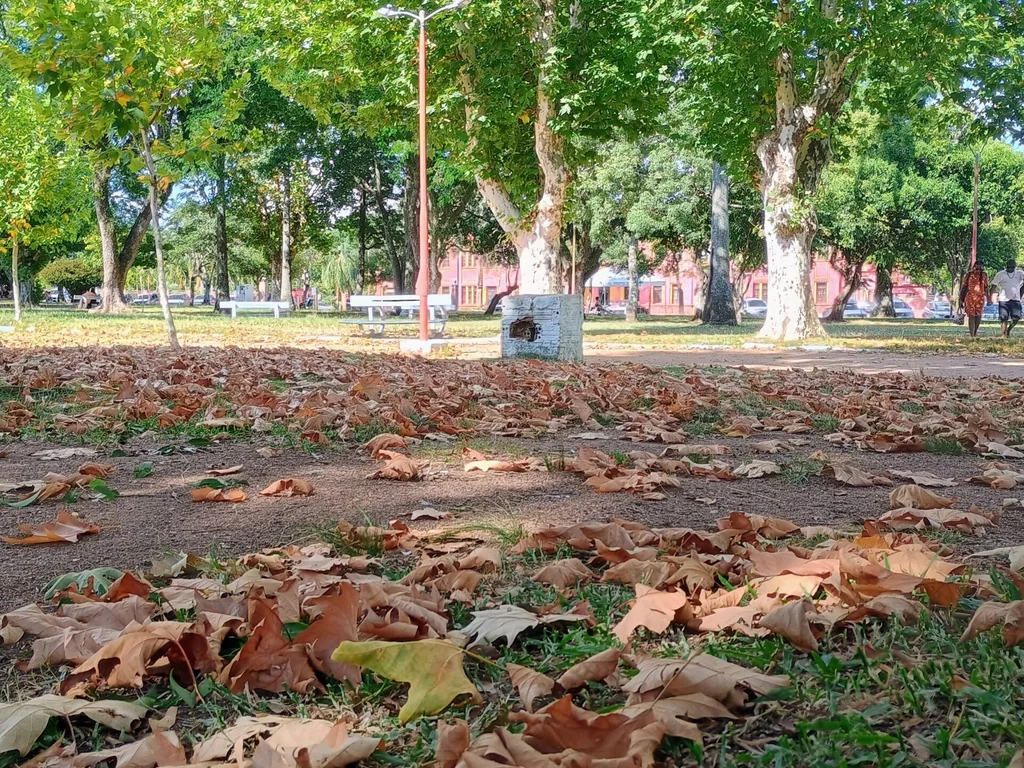 Outono sob El Niño terá temperaturas altas e chuva variável