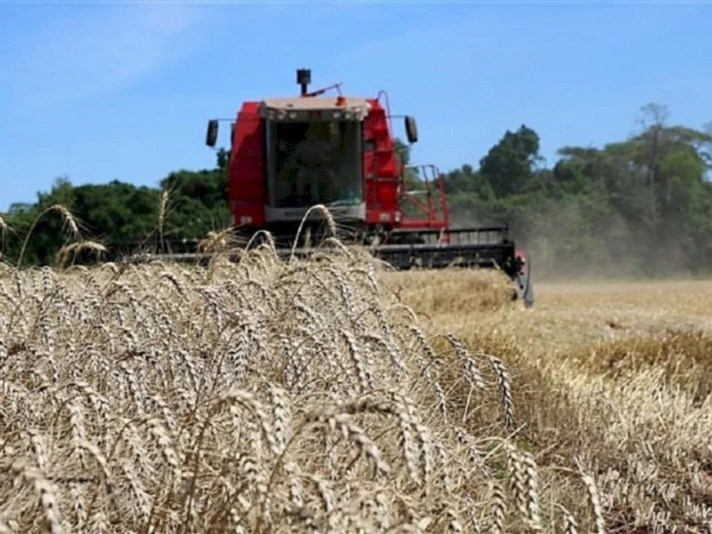 Levantamento destaca região de Bagé