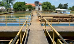 Lideranças avaliam primeiro ano do novo status sanitário