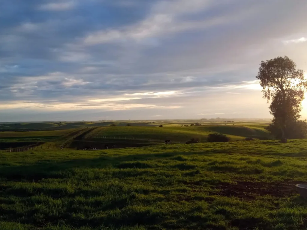 Próximos dias serão de nebulosidade e temperaturas amenas