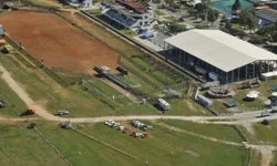 Abertas inscrições para fórum sobre Febre Aftosa