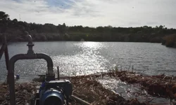 Senado analisa aumento do prazo de reincidência