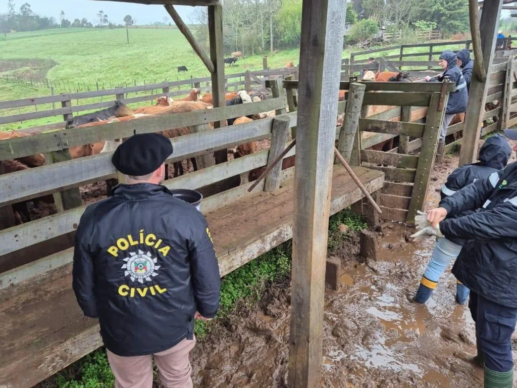 Decrabs ampliam atuação e reduzem crimes rurais