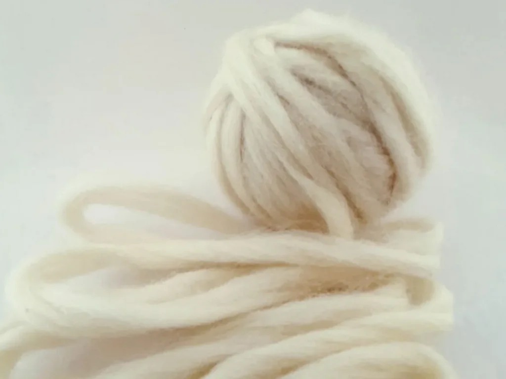 Projeto vai selecionar jovens para capacitação em lã