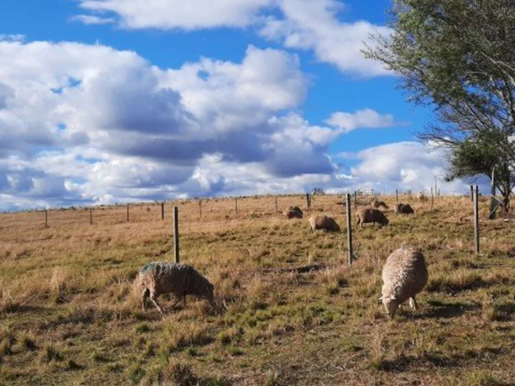 Pampa receberá R$ 1,5 milhão