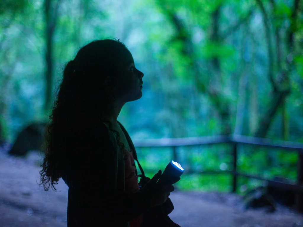 Festival Internacional de Cinema da Fronteira divulga filmes selecionados