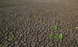 Defesa do consumidor