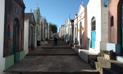 Adriana Lara deve concorrer a deputada federal