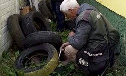 Levantamento em 10% dos imóveis começa na segunda
