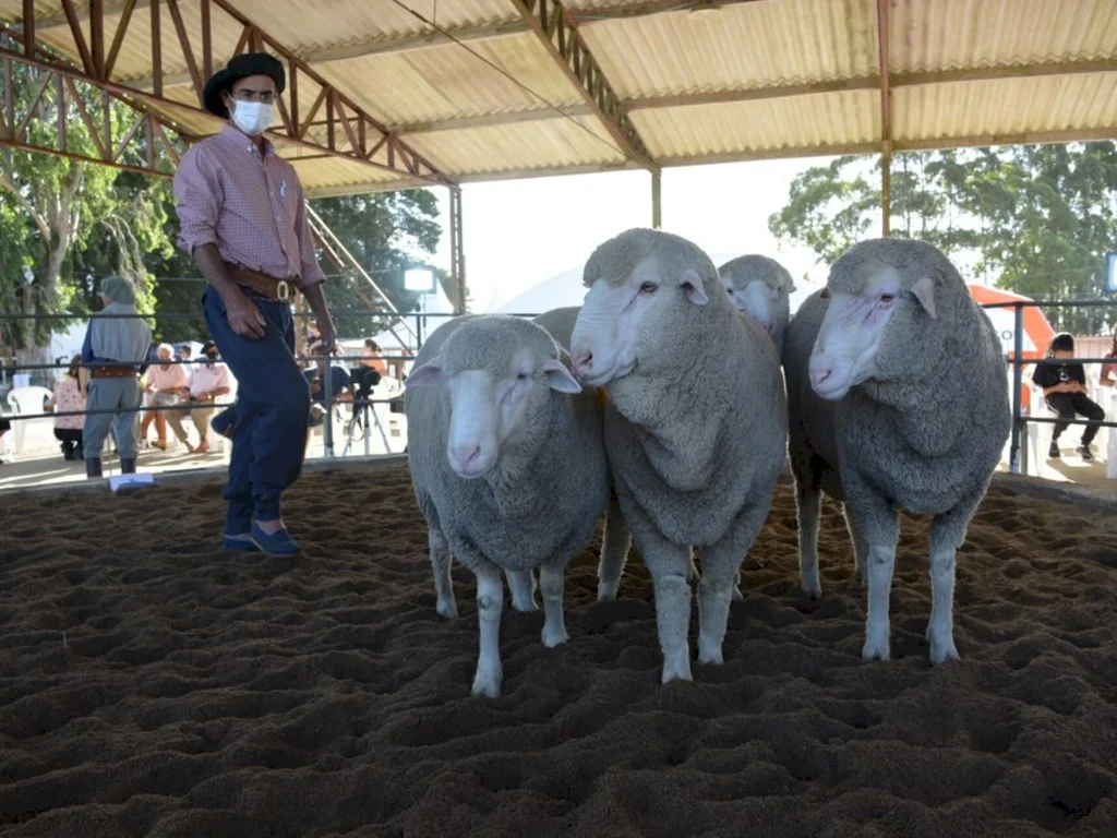 Média geral da feira contabiliza aumento superior a 6%