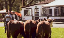 Média geral da feira contabiliza aumento superior a 6%