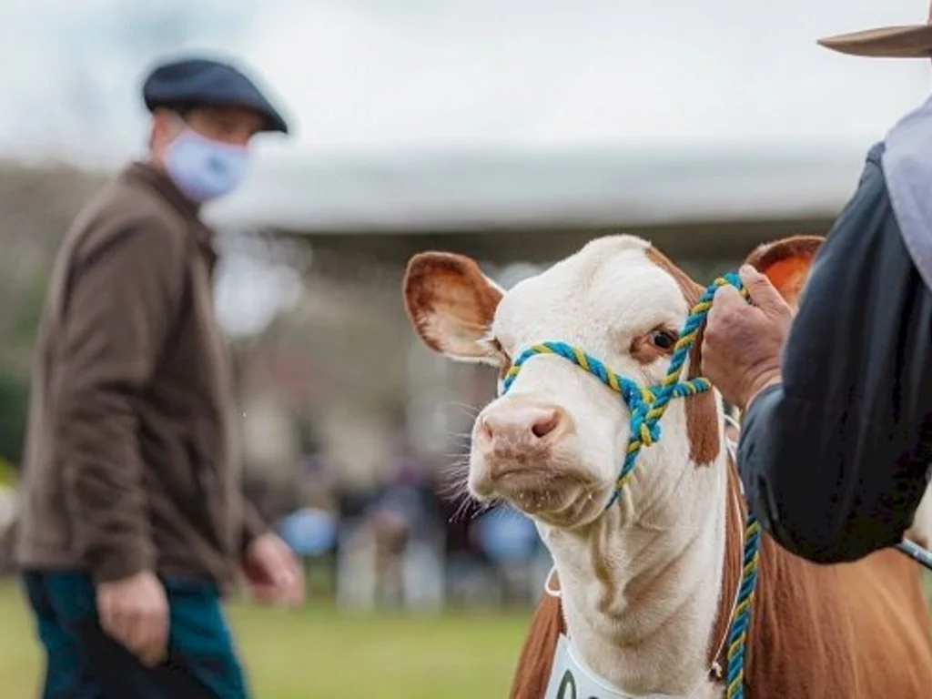 Mudanças no Ranking Nacional de Criadores